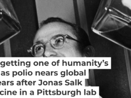 Dr. Jonas Salk displays his polio vaccine, which he developed in a University of Pittsburgh laboratory. Bettmann/Bettmann Collection via Getty Images